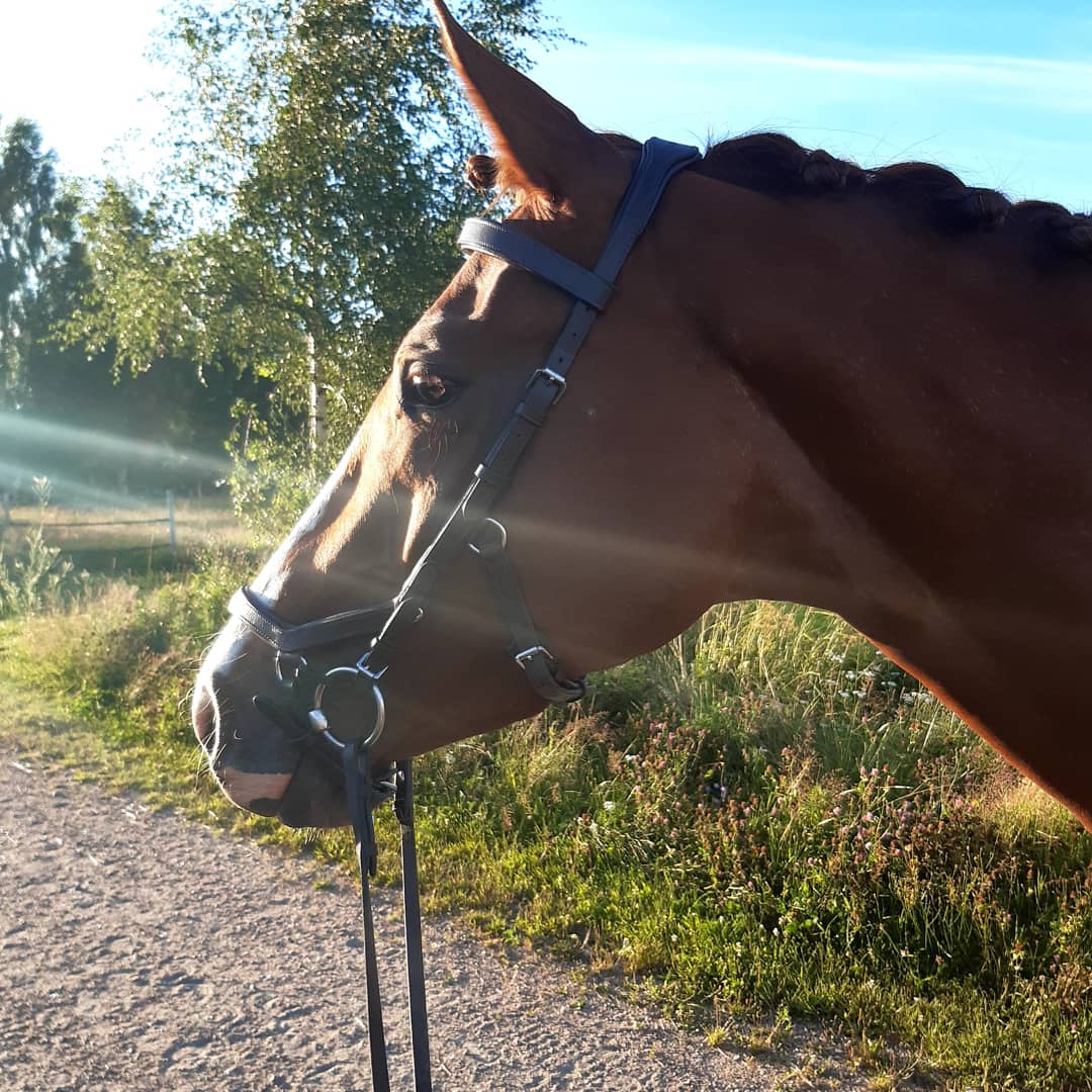 Bellissima Figlia
Foto Sandra Voest Bjermert